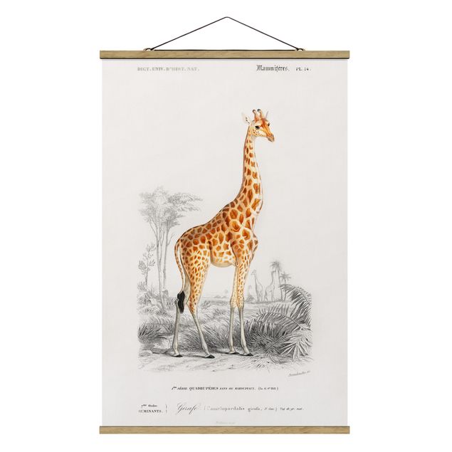 Cuadros retro vintage Vintage Board Giraffe