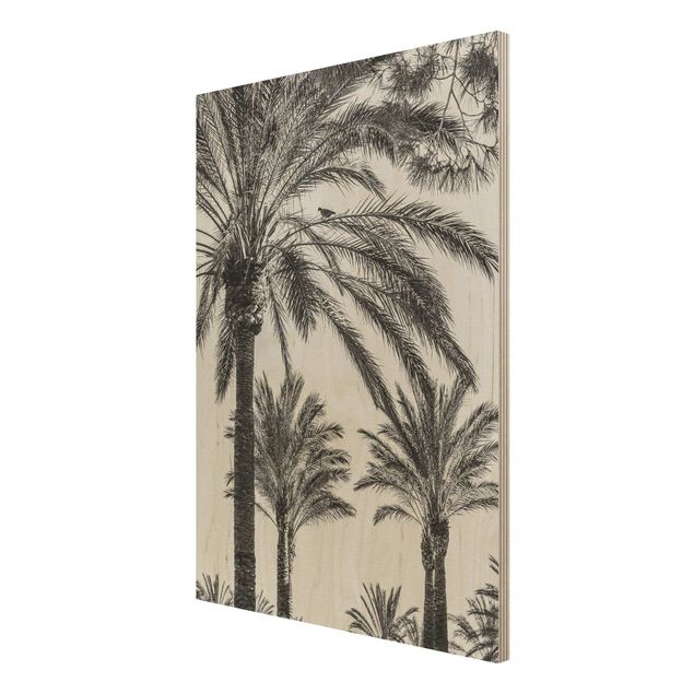 Cuadros de madera paisajes Palm Trees At Sunset Black And White