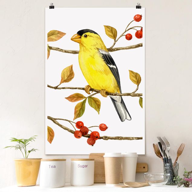 Decoración en la cocina Birds And Berries - American Goldfinch