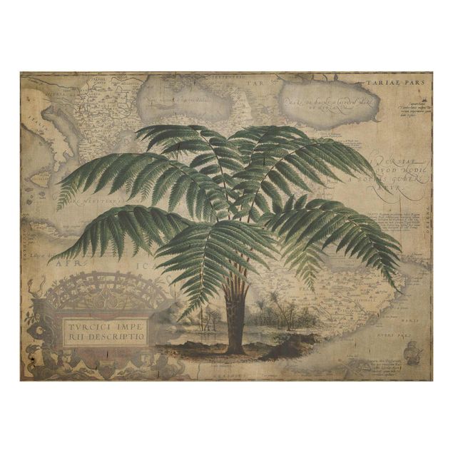 Cuadros de madera flores Vintage Collage - Palm And World Map