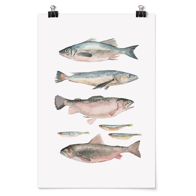 Cuadros modernos y elegantes Seven Fish In Watercolour I