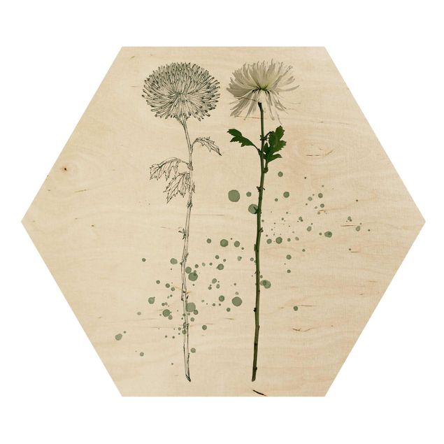 Hexagon Bild Holz - Botanisches Aquarell - Löwenzahn