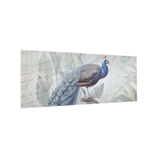 Cuadros Haase Shabby Chic Collage - Peacock