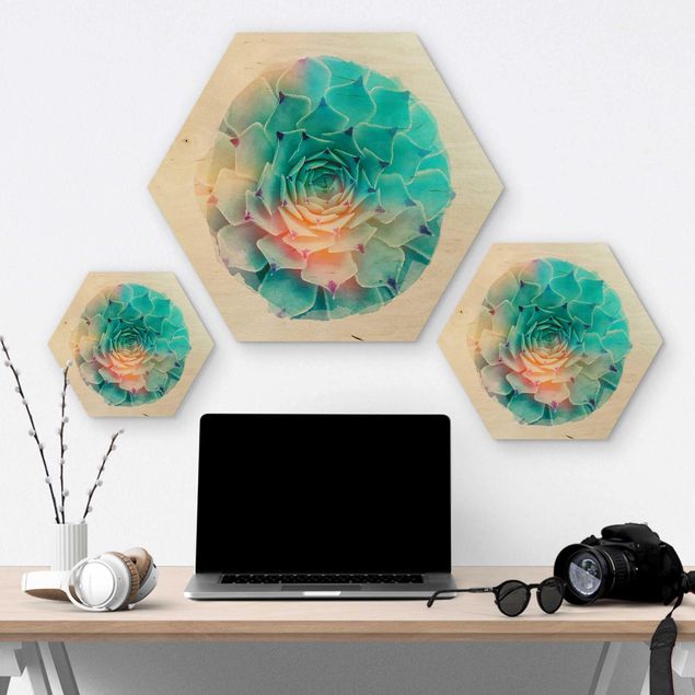 Hexagon Bild Holz - Wasserfarben - Kaktus Agave