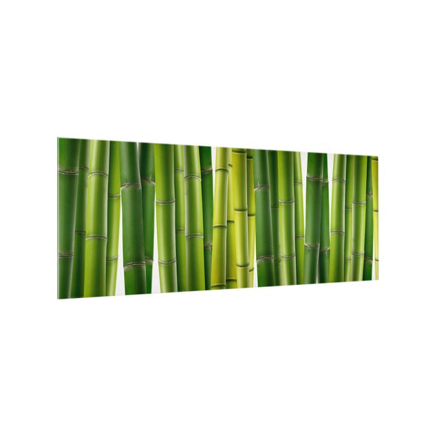 panel-antisalpicaduras-cocina Bamboo Plants
