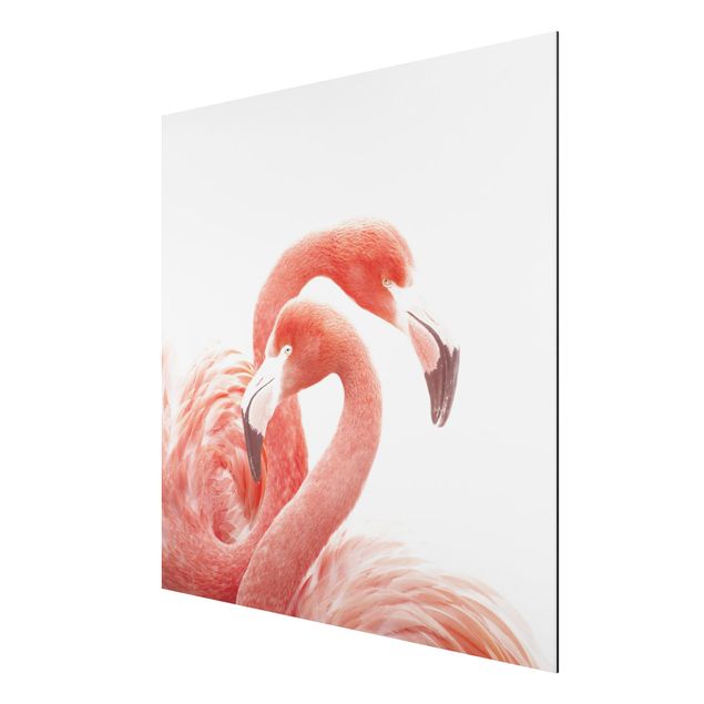 Cuadros modernos Two Flamingos