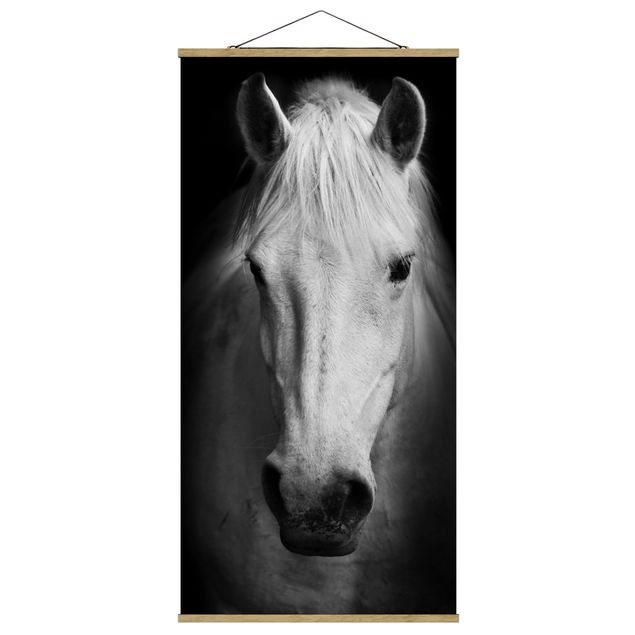 Cuadros animales Dream Of A Horse