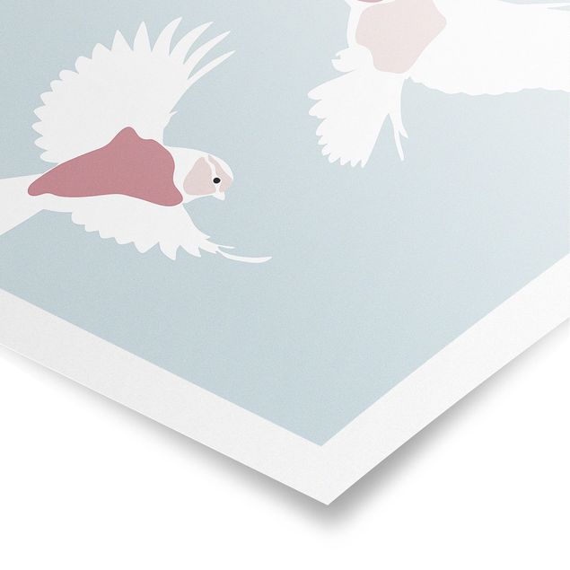 Reproducciónes de cuadros Line Art Pigeons Pastel