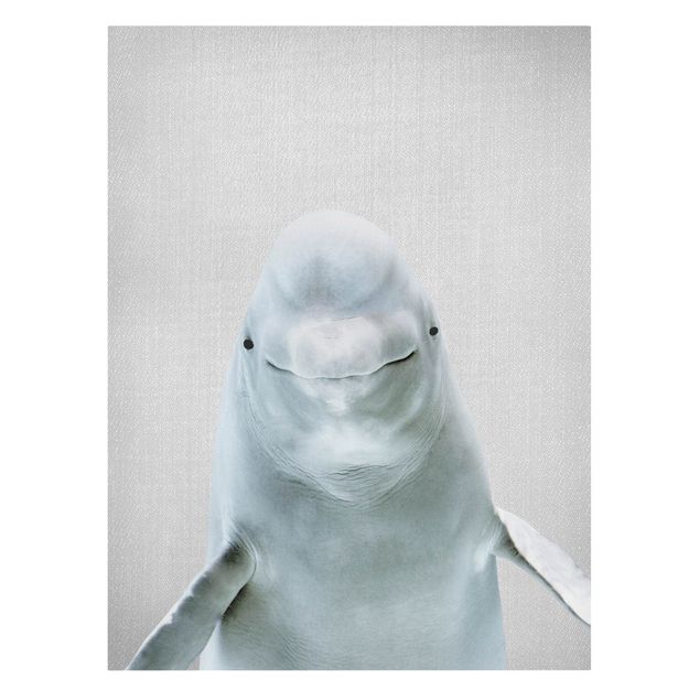 Lienzos de animales Beluga Whale Bob