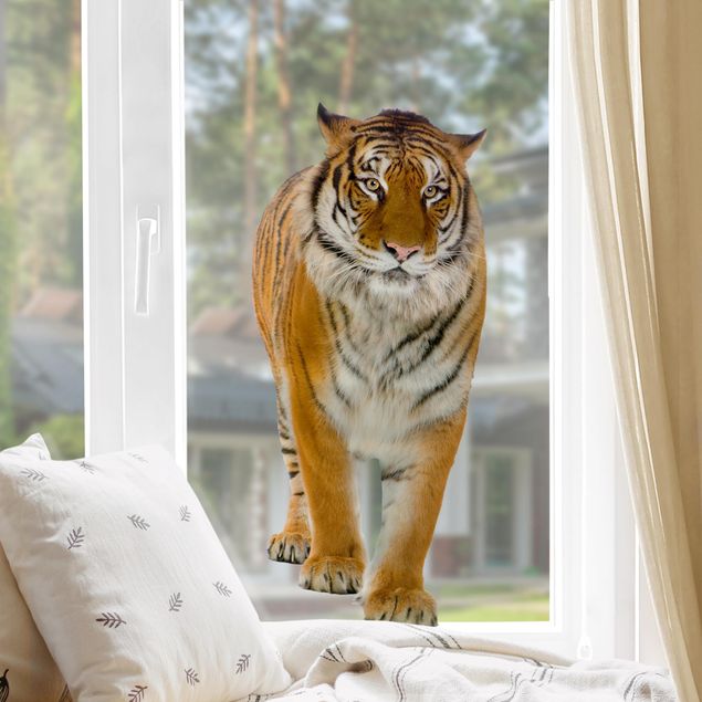 Decoración habitación infantil Banyan tiger