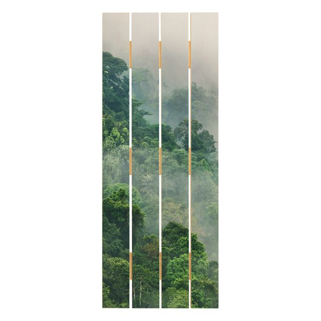 Cuadros modernos Jungle In The Fog