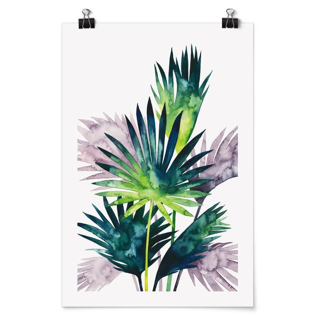Cuadros flores Exotic Foliage - Fan Palm