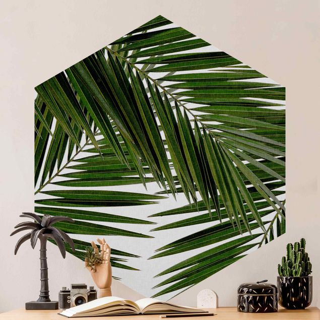 Papel pared flores View Through Green Palm Leaves
