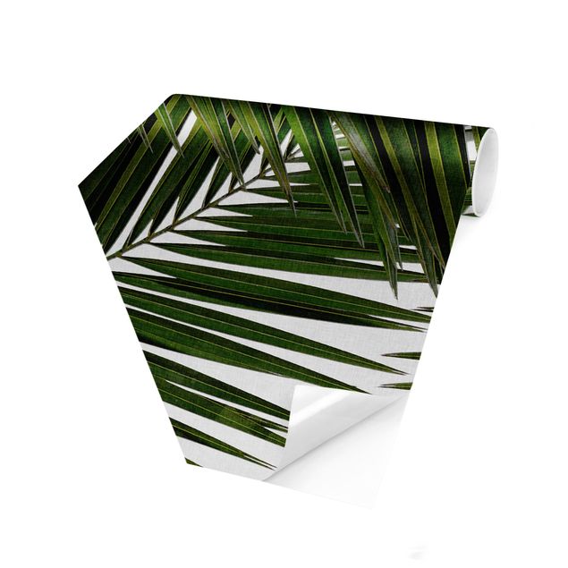 Papel de pared View Through Green Palm Leaves