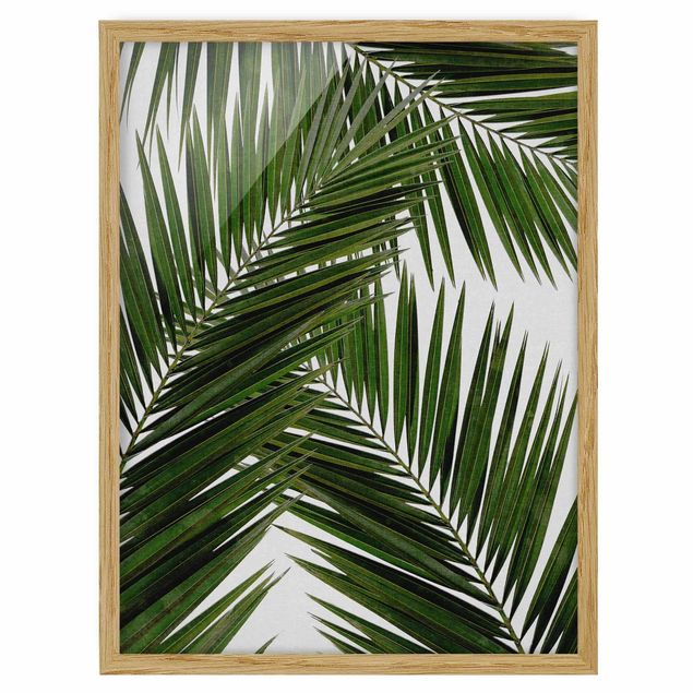 Cuadros de plantas naturales View Through Green Palm Leaves