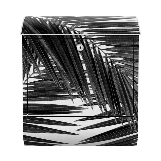 Buzón blanco y negro View Through Palm Leaves Black And White