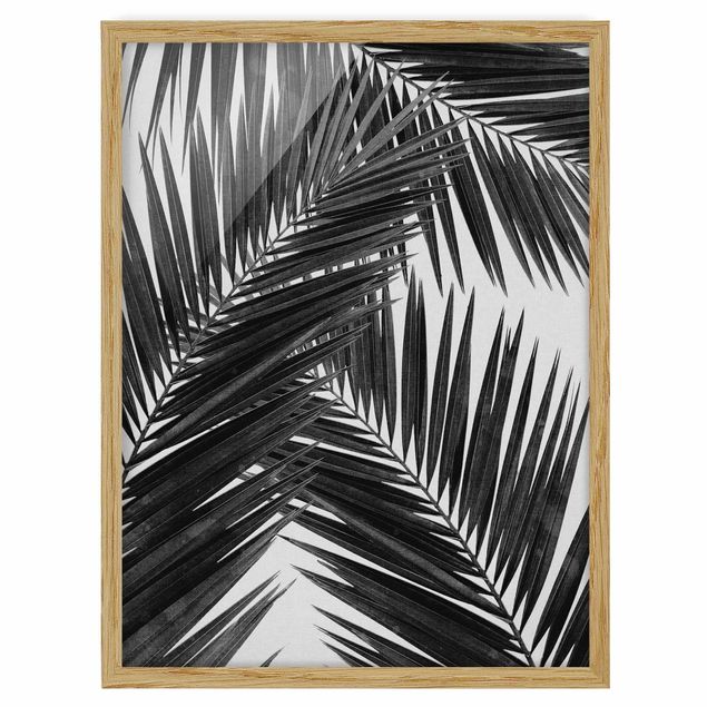 Pósters enmarcados en blanco y negro View Through Palm Leaves Black And White