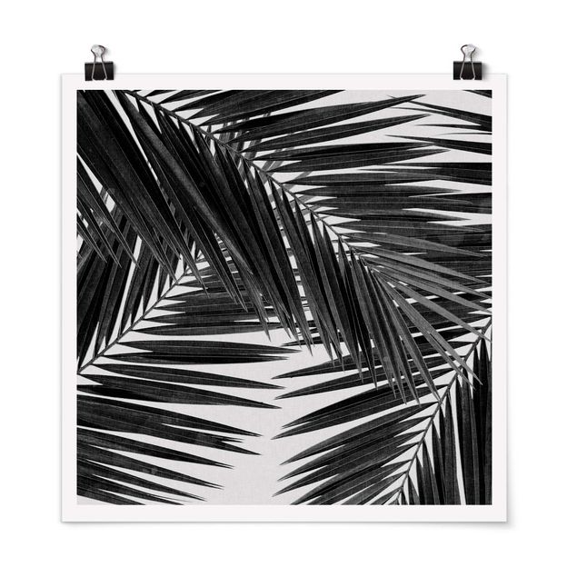 Pósters en blanco y negro View Through Palm Leaves Black And White