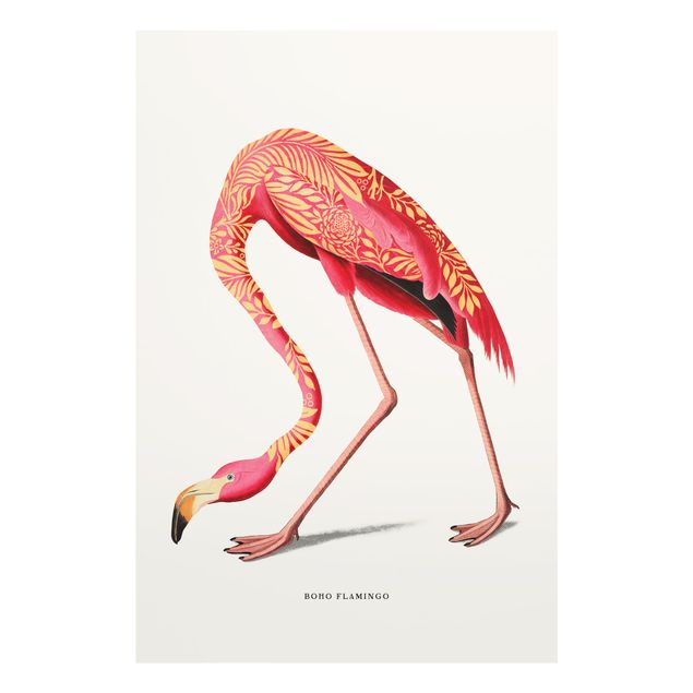 Cuadros decorativos Boho Birds - Flamingo
