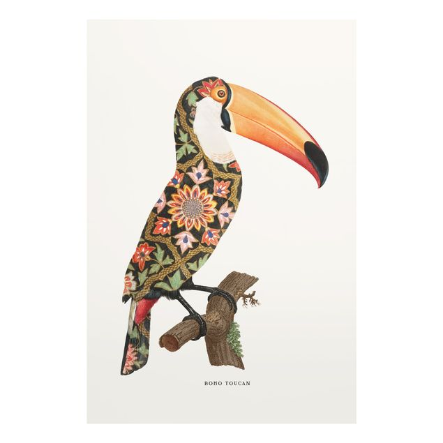 Cuadros Jonas Loose Boho Birds - Toucan