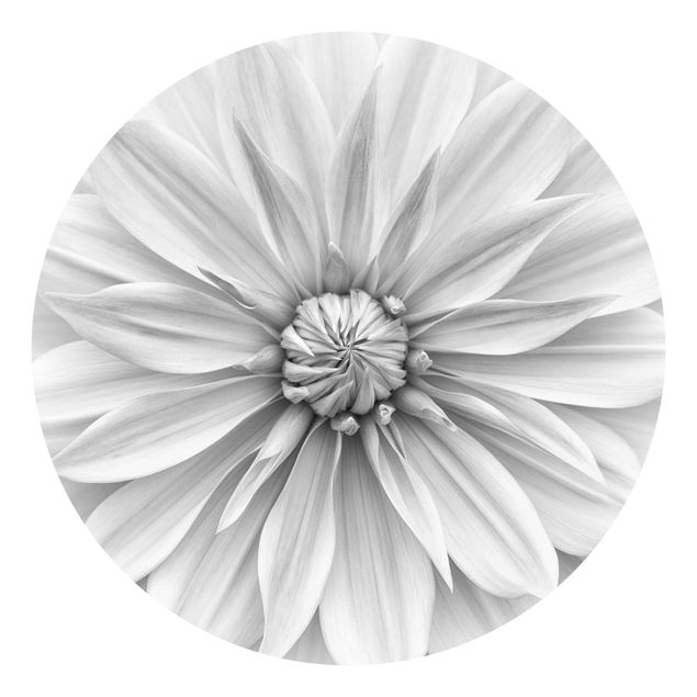 Papeles pintados blanco y negro Botanical Blossom In White