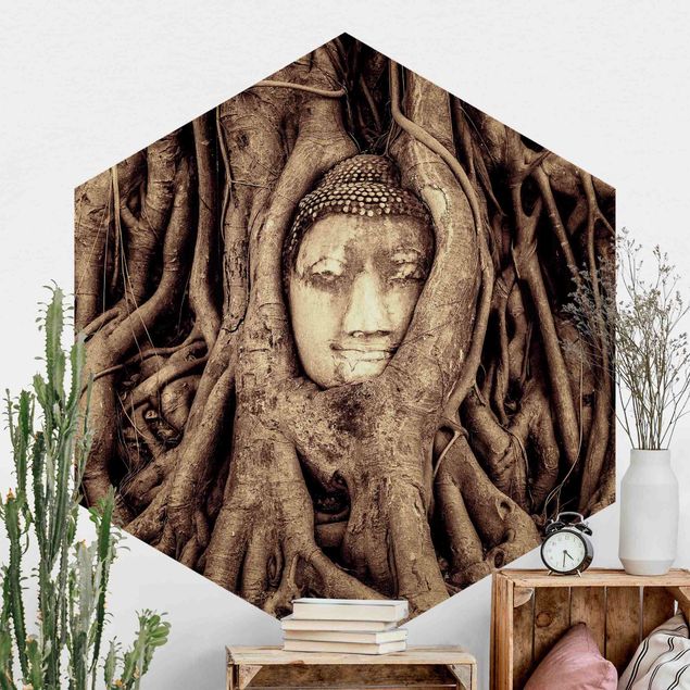Decoración de cocinas Buddha In Ayutthaya Lined With Tree Roots In Brown