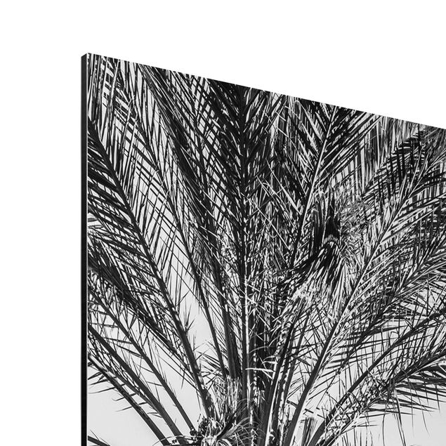 Láminas de cuadros famosos Palm Trees At Sunset Black And White