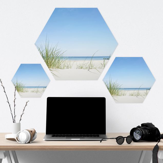 cuadro hexagonal Baltic Sea Coast