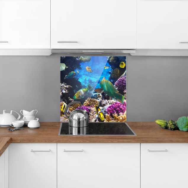 panel-antisalpicaduras-cocina Underwater Dreams
