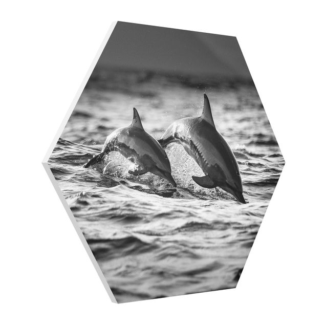 Cuadros infantiles animales Two Jumping Dolphins