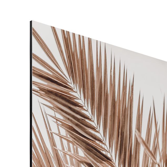 Cuadros naturaleza Bronze Coloured Palm Fronds