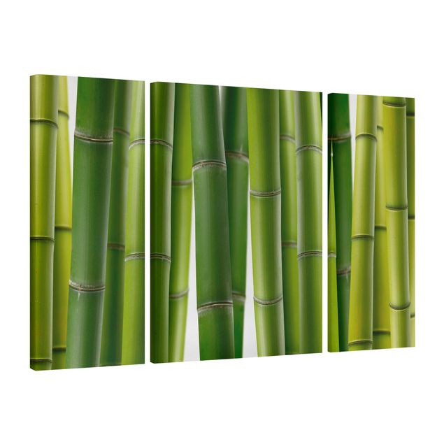 Cuadros bambú decorativos Bamboo Plants