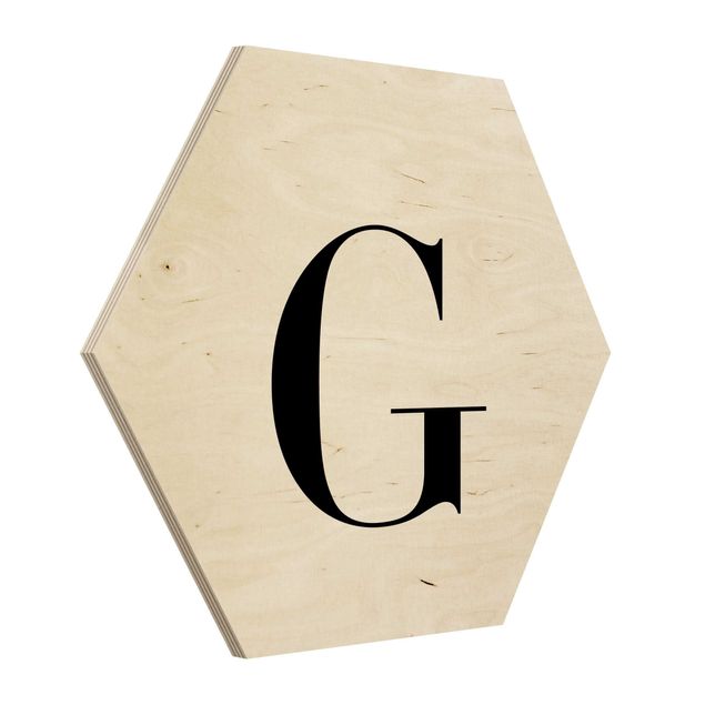 Cuadros hexagonales Letter Serif White G