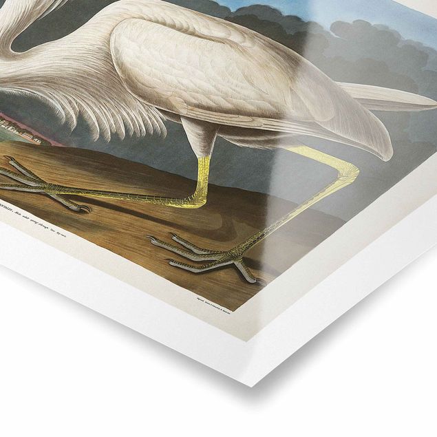 Cuadros Vintage Board Great White Egret