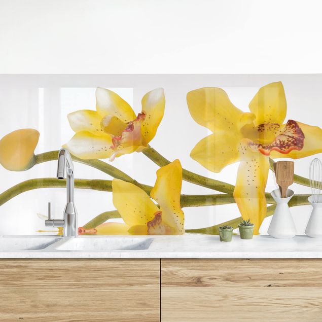 Decoración en la cocina Saffron Orchid Waters