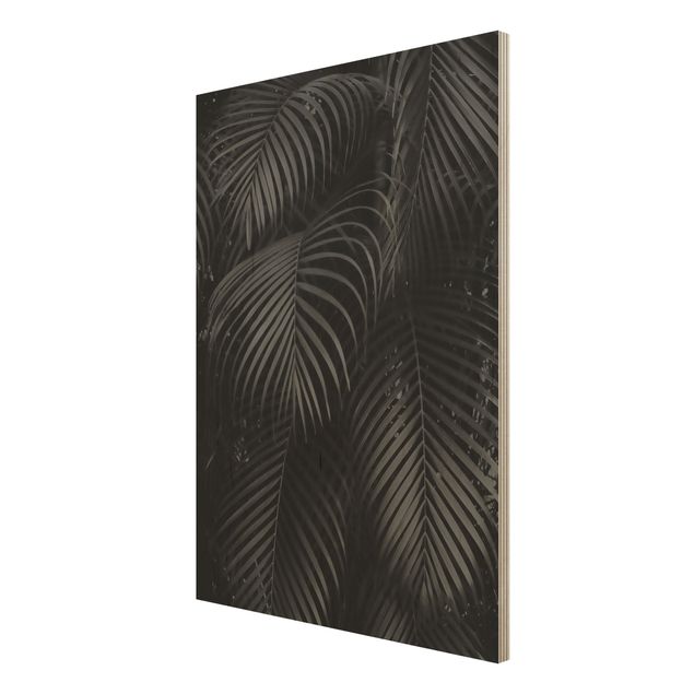 Cuadros Haase Black Palm Fronds