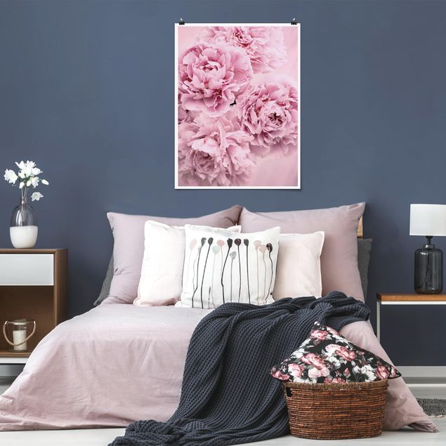 Láminas flores Pink Peonies