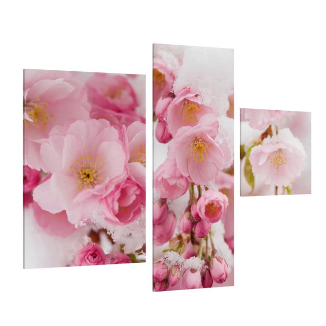 Cuadros en lienzo de flores Snow-Covered Cherry Blossoms
