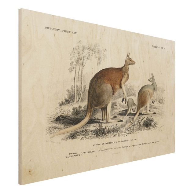 Decoración en la cocina Vintage Board Kangaroo
