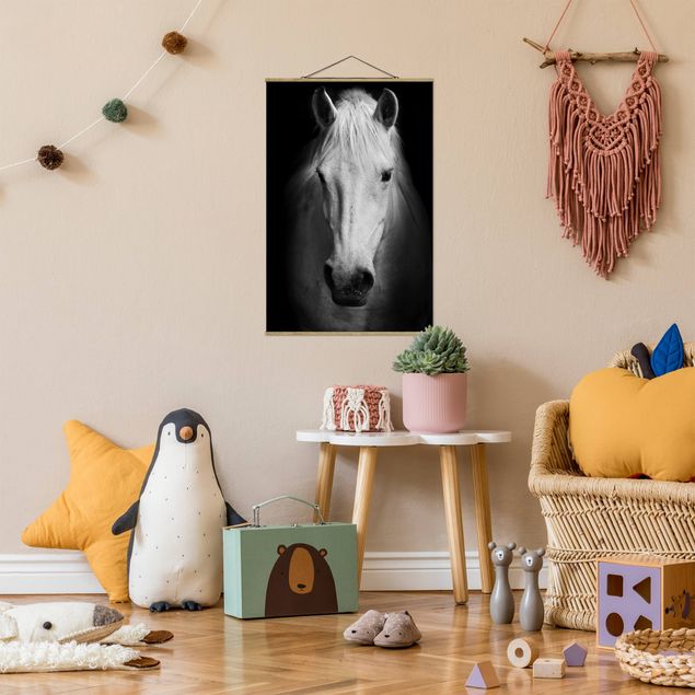 Cuadros decorativos modernos Dream Of A Horse