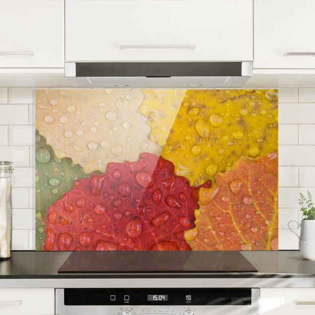 Decoración en la cocina Water Drops On Colorful Leaves