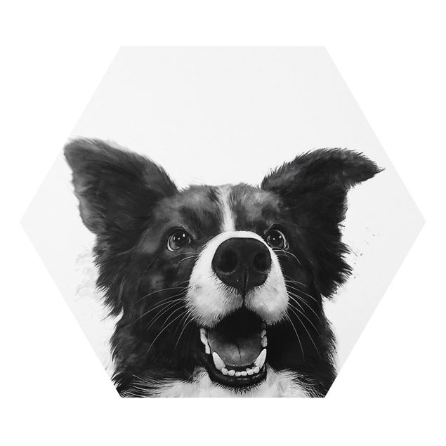 Cuadros infantiles animales Illustration Dog Border Collie Black And White Painting