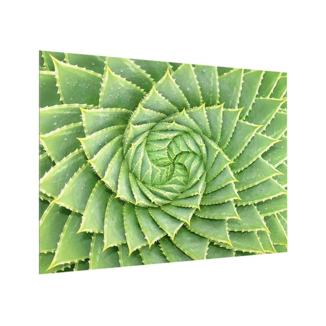 Panel antisalpicaduras cocina patrones Spiral Aloe