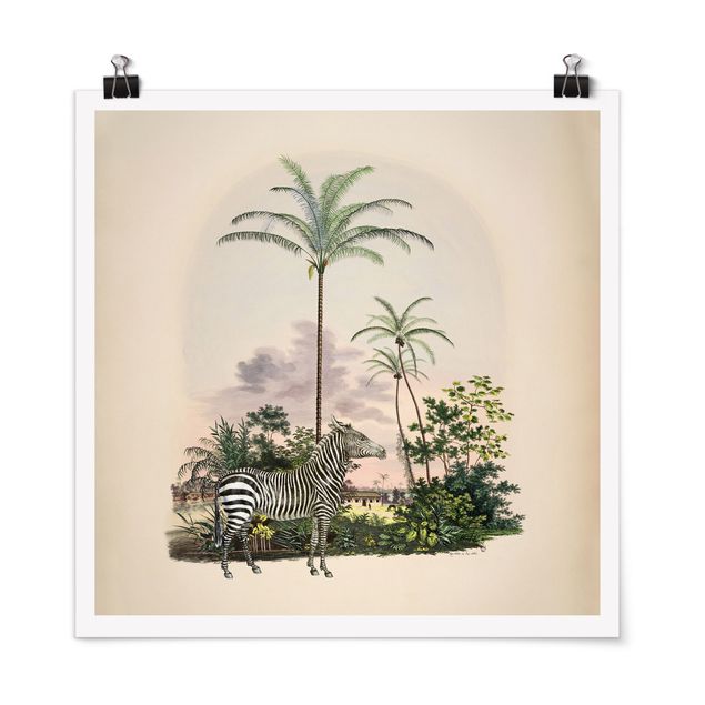 Póster cuadros famosos Zebra Front Of Palm Trees Illustration