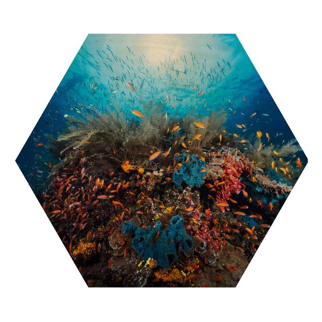 Hexagon Bild Holz - Lagune Unterwasser