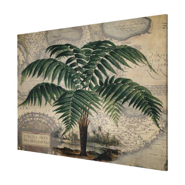 Tableros magnéticos flores Vintage Collage - Palm And World Map