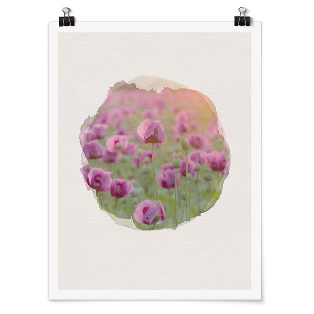 Cuadros plantas WaterColours - Violet Poppy Flowers Meadow In Spring
