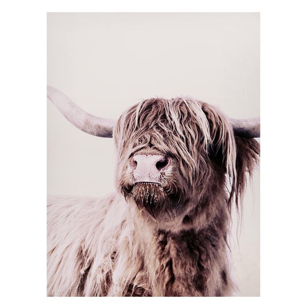 Tableros magnéticos animales Highland Cattle Frida In Beige