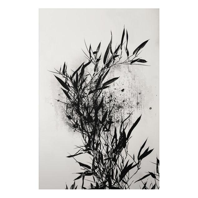 Cuadros de peces Graphical Plant World - Black Bamboo