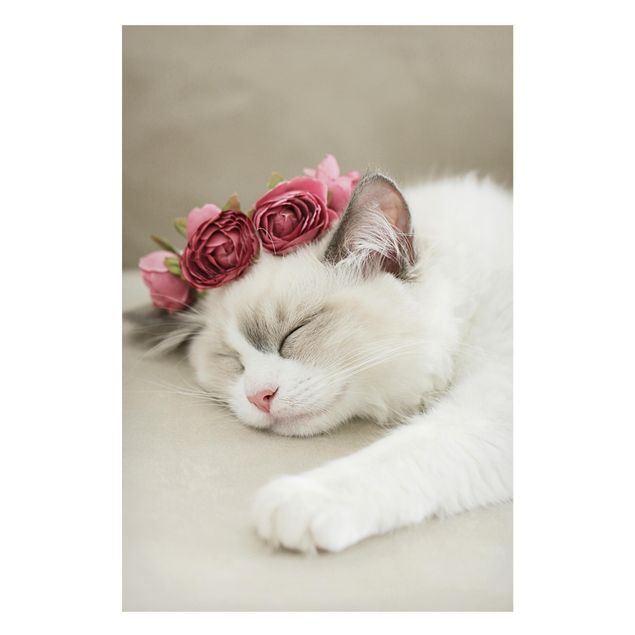 Cuadros de gatos modernos Sleeping Cat with Roses